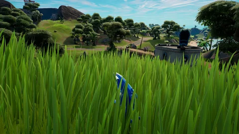 Fortnite grass