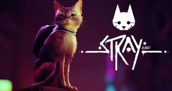 Stray1 A